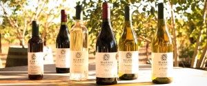 organic wine event - Harris Organic Wines