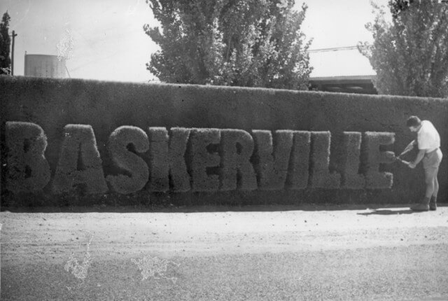 The Baskerville Hedge