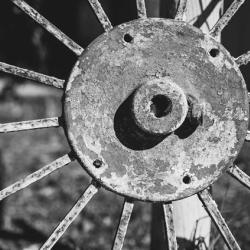 Cart wheel 