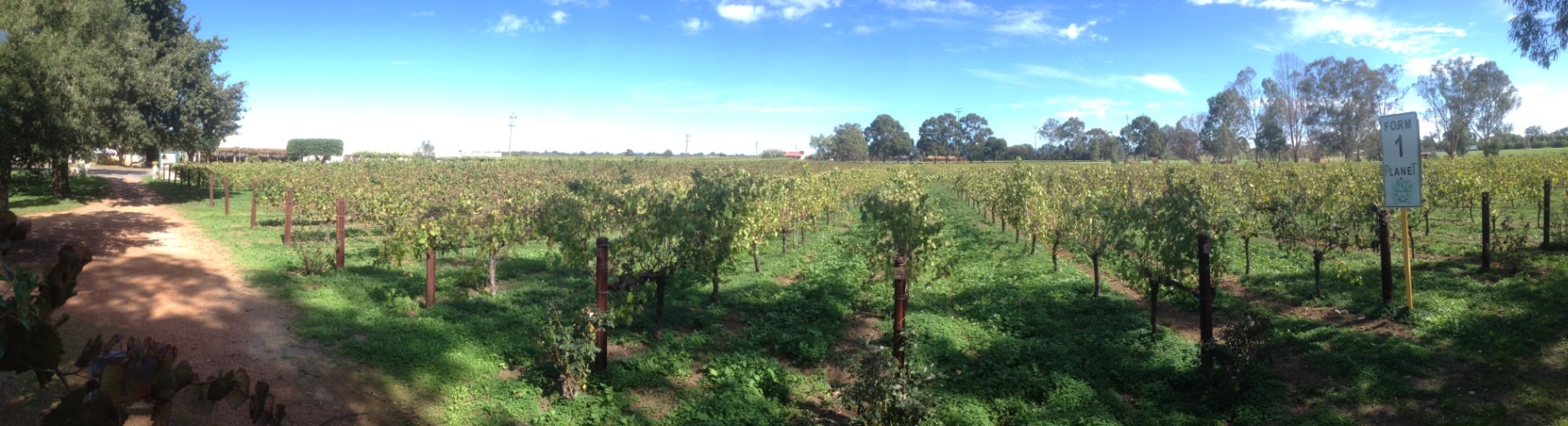Organic Wines - Perth