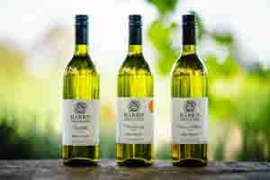 Organic White Wine