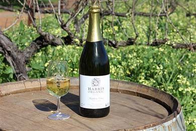 Organic Sparkling Wine