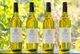 Organic White Wines