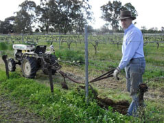 organic vineyard plough